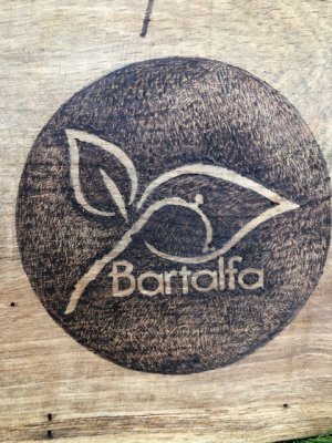 Bartal-csatorna az élő vízi út ami összeköt